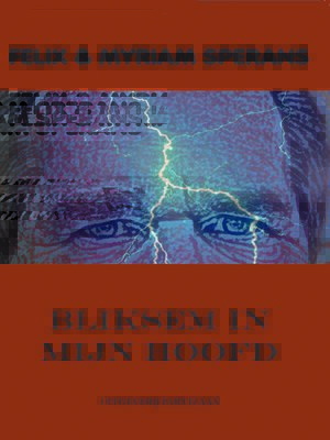 cover image of Bliksem in mijn hoofd
